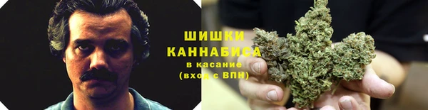 apvp Балахна