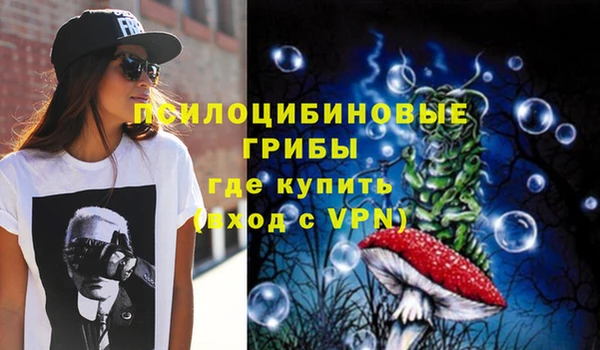 ALPHA PVP Баксан