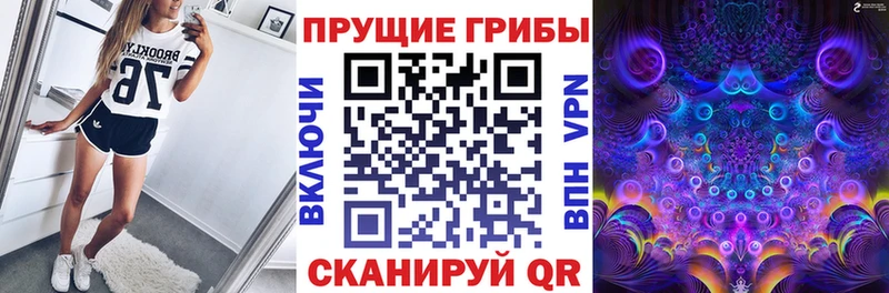 цена   Нюрба  Галлюциногенные грибы мицелий 
